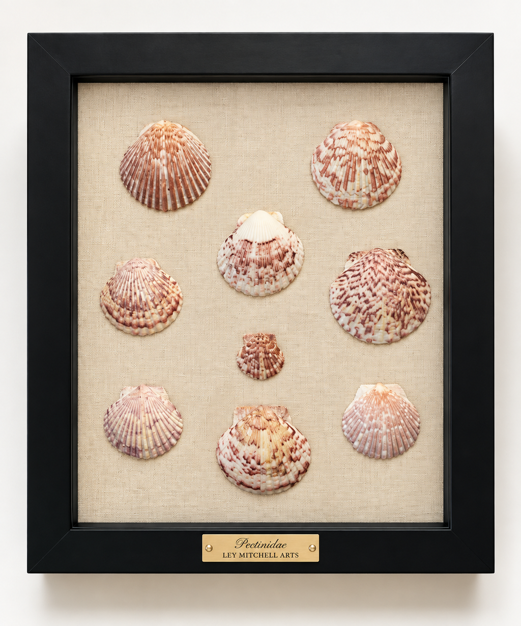 Coastal Scallops in Wine on Belgian Linen