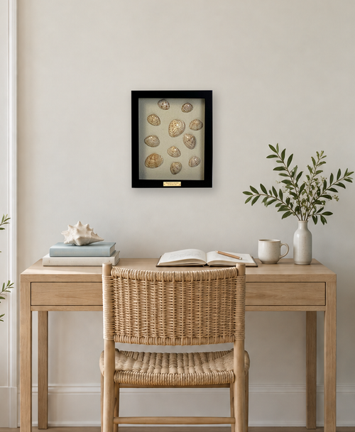 Calico clams on natural linen, black solid wood frame