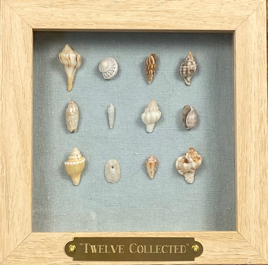 Twelve Collected