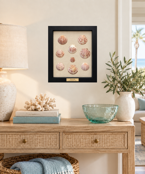 Coastal Scallops in Wine on Belgian Linen