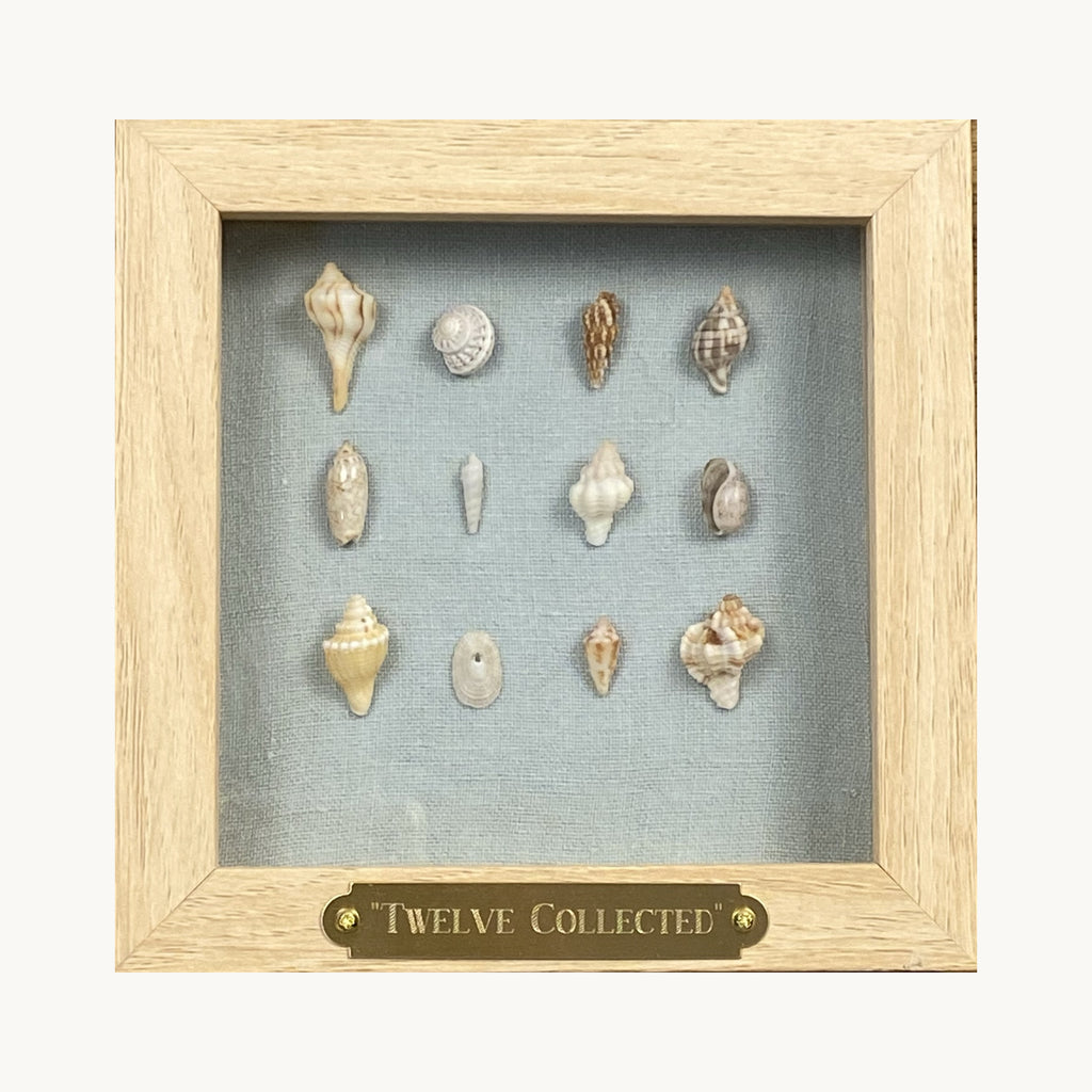 Twelve Collected
